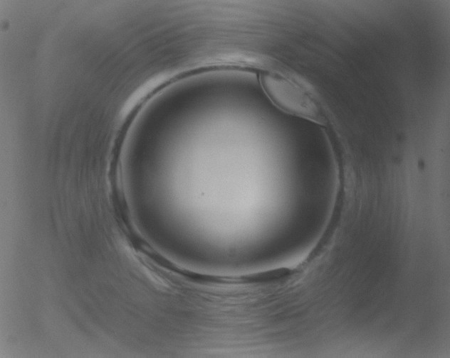 X0000052551230200507011122