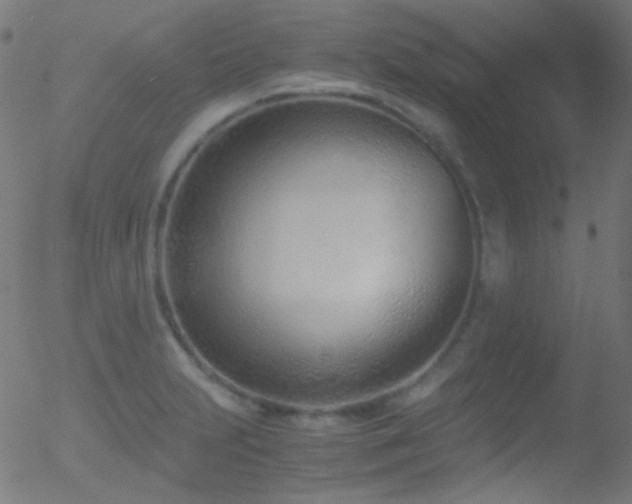 X0000052551231200507011122