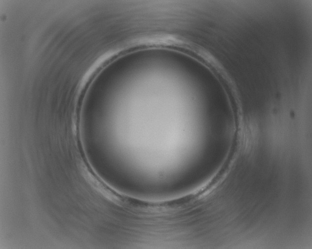 X0000052551232200507011122