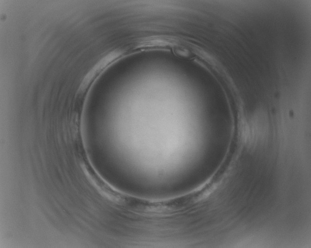 X0000052551233200507011122