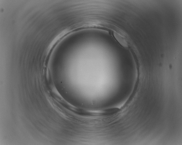 X0000052551234200507011122