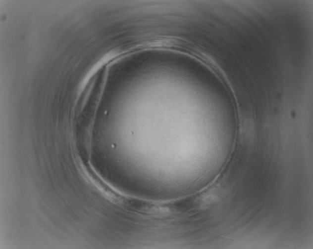 X0000052551235200507011122