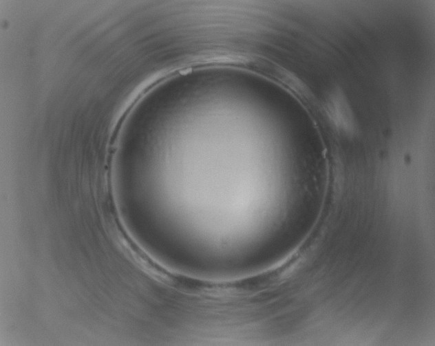 X0000052551236200507011122