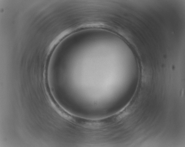 X0000052551237200507011122