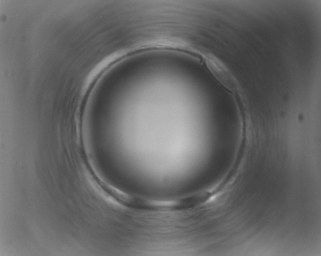 X0000052551238200507011122