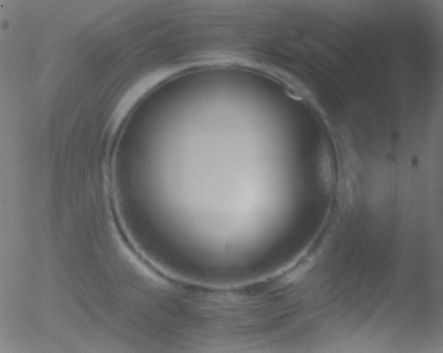 X0000052551239200507011122