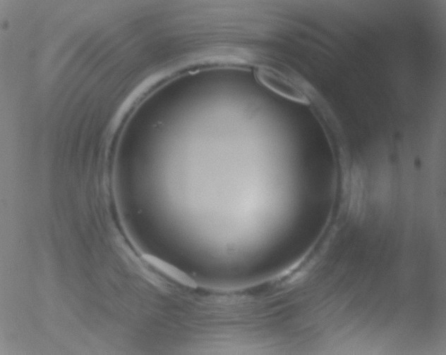 X0000052551240200507011122