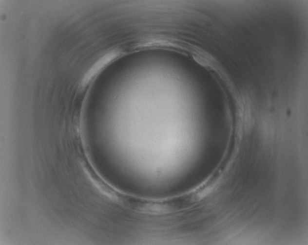 X0000052551241200507011122