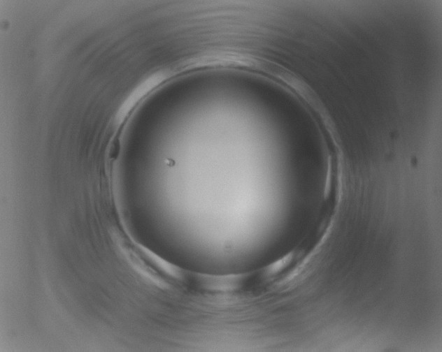 X0000052551242200507011122