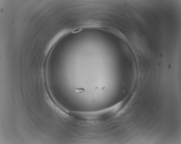 X0000052551243200507011122