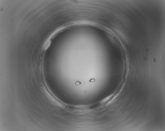 X0000052551244200507011122