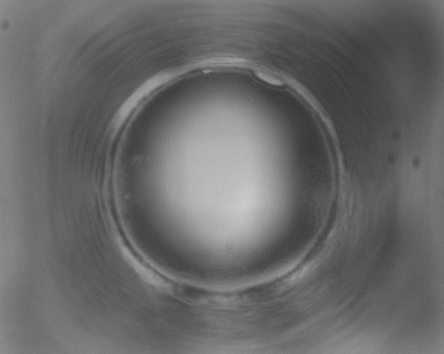 X0000052551245200507011122