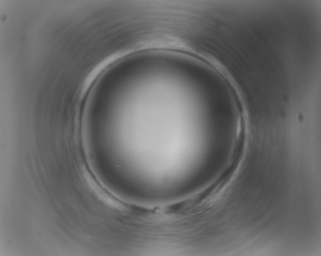 X0000052551246200507011122