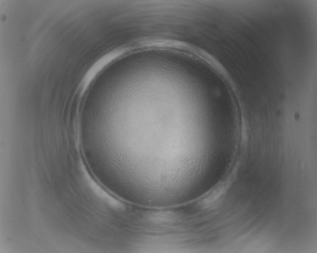 X0000052551247200507011122