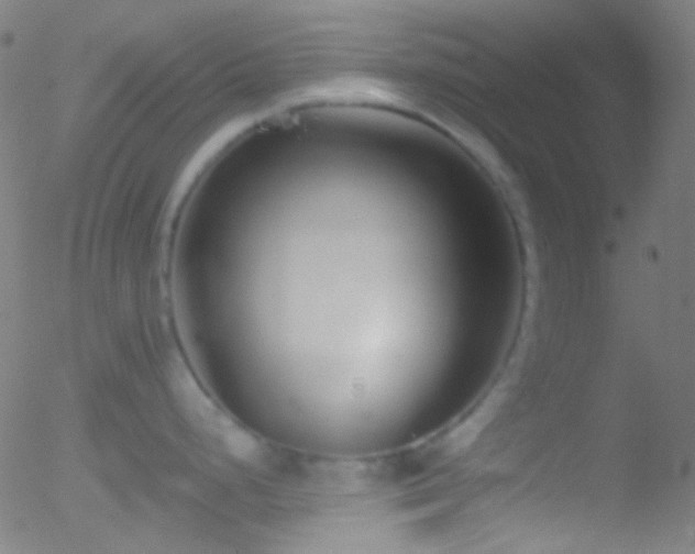 X0000052551248200507011122