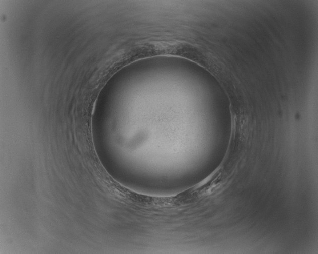 X0000052551249200507011122