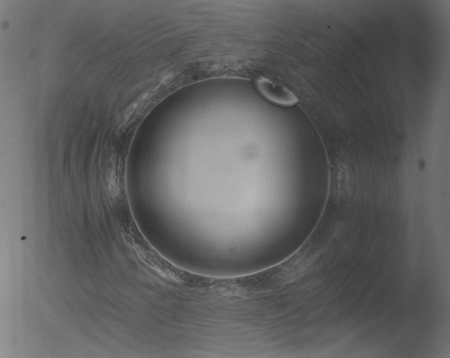 X0000052551250200507011121