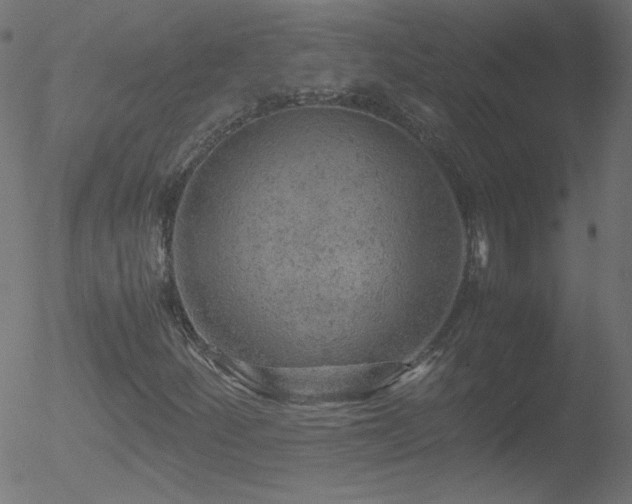 X0000052551252200507011121