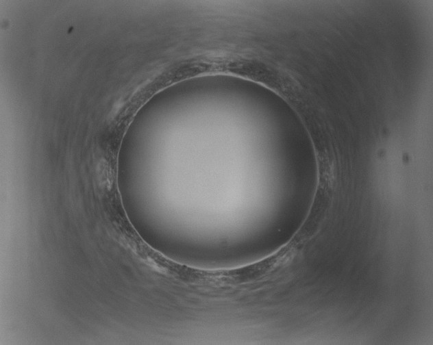 X0000052551253200507011121