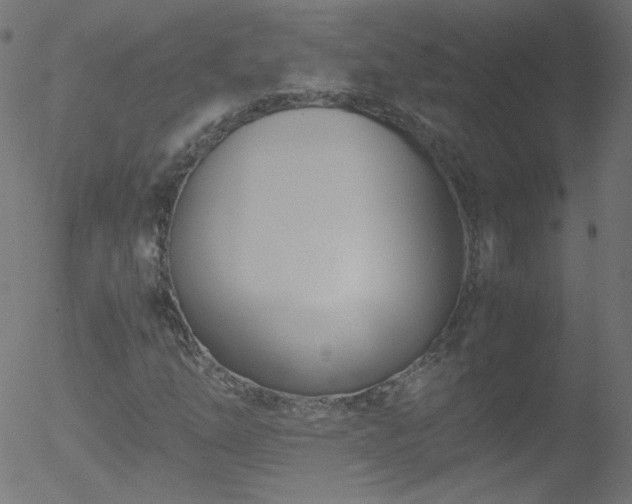 X0000052551254200507011121