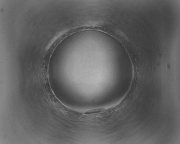 X0000052551256200507011121