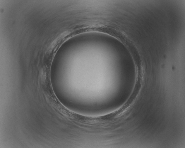 X0000052551257200507011121