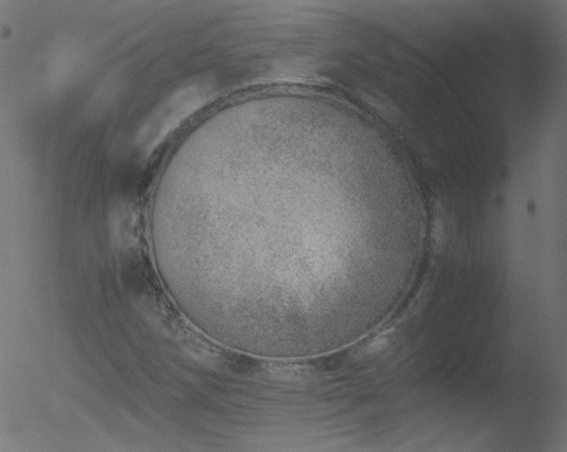 X0000052551258200507011121