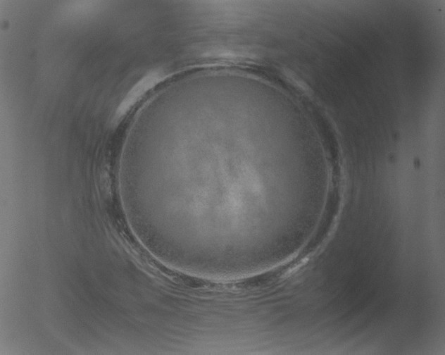 X0000052551259200507011121