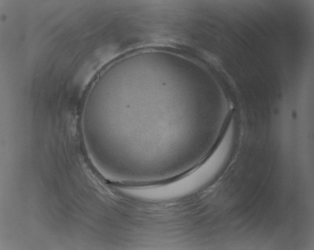 X0000052551260200507011121