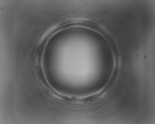 X0000052551261200507011121