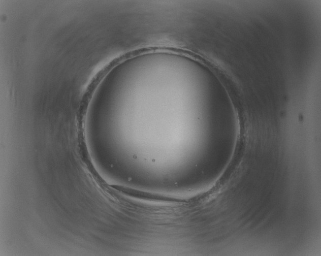 X0000052551264200507011121