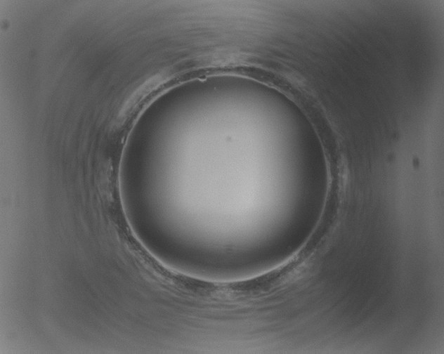 X0000052551265200507011121