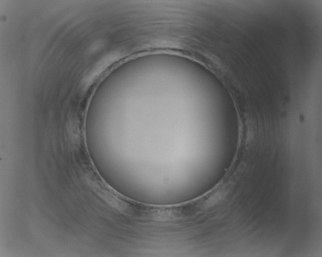 X0000052551266200507011121