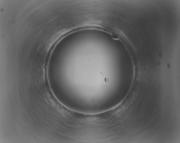 X0000052551268200507011121