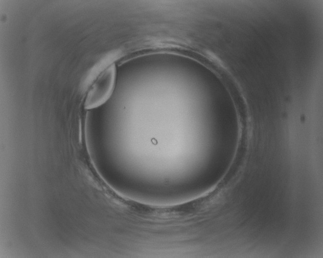 X0000052551269200507011121