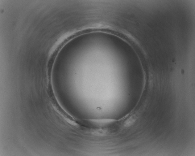 X0000052551270200507011121