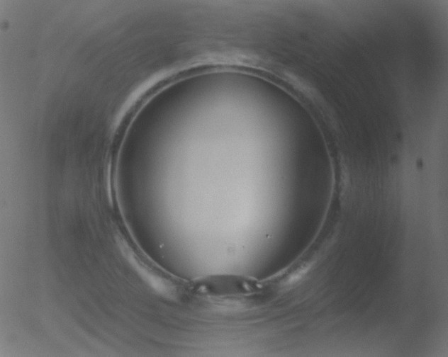 X0000052551272200507011121