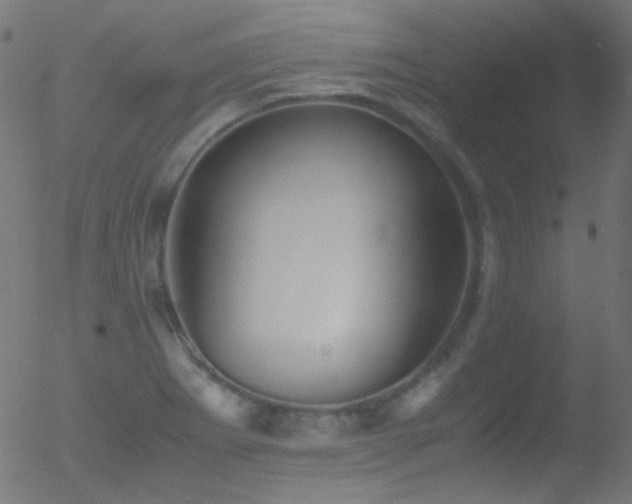 X0000052551273200507011121