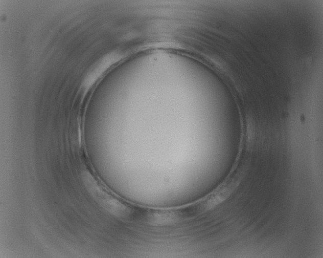 X0000052551274200507011121