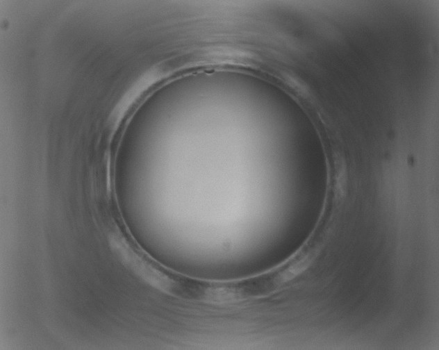 X0000052551275200507011121