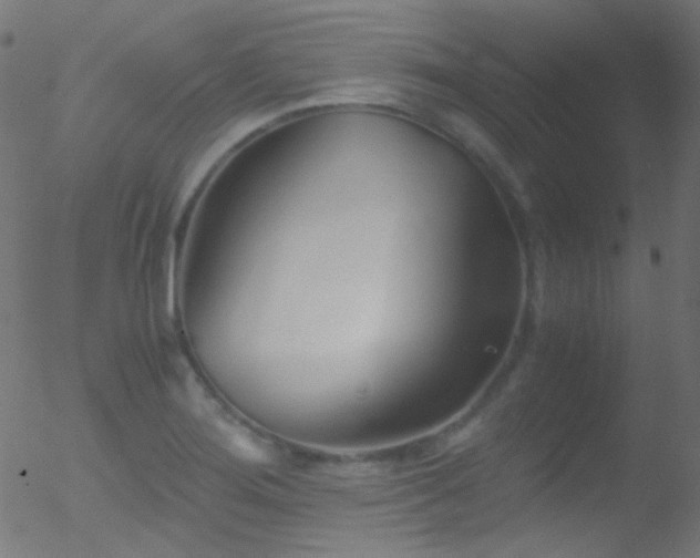 X0000052551276200507011121