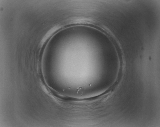 X0000052551277200507011121