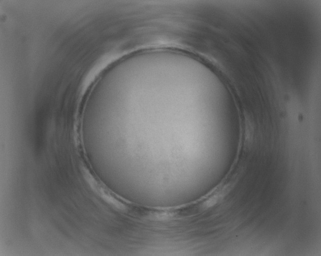 X0000052551278200507011121