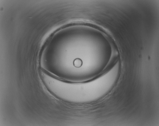 X0000052551279200507011121