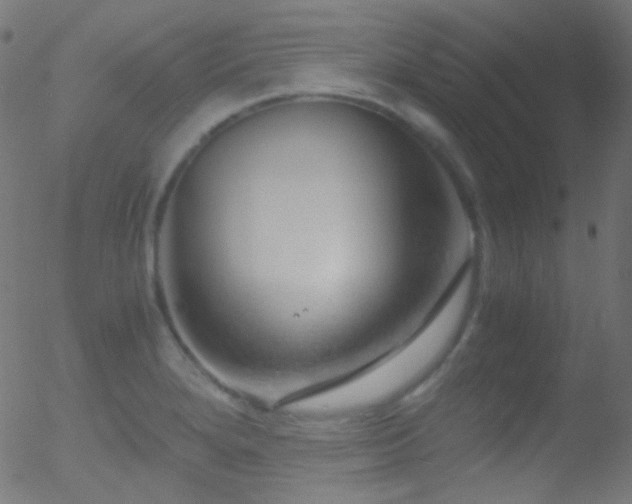 X0000052551280200507011121