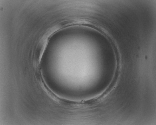 X0000052551281200507011121