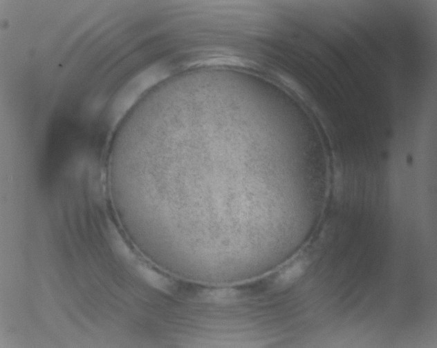 X0000052551282200507011121