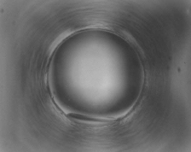 X0000052551284200507011121