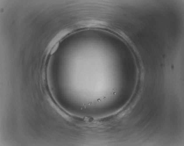 X0000052551285200507011121