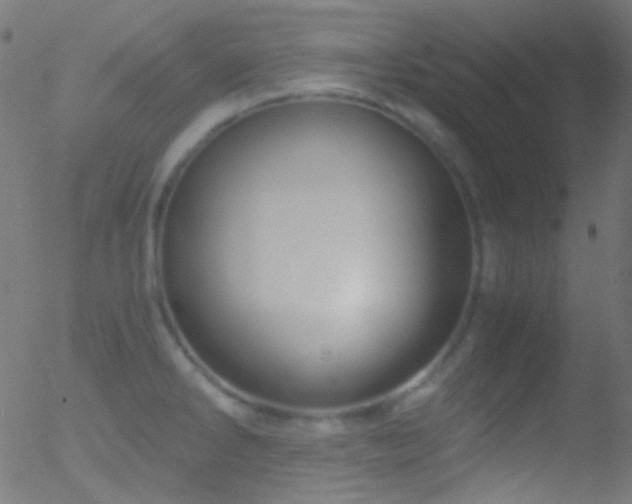 X0000052551286200507011121